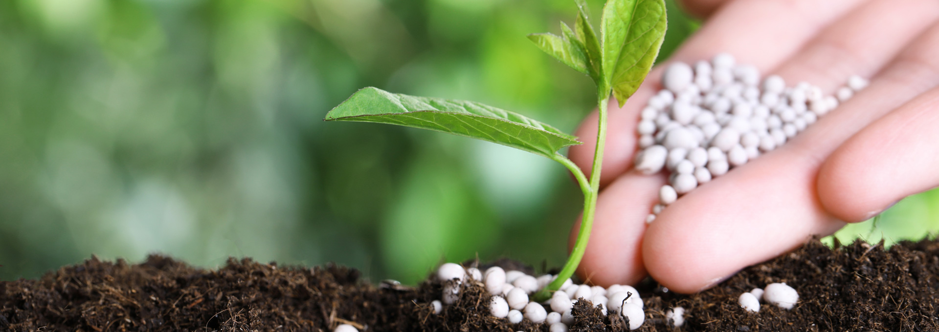 Fertilizzanti agricoli